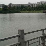 xiaoye2018的个人资料头像