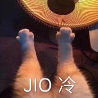 迷惘的方向PP头像