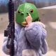 幼稚嘉宾头像