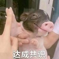 孤独的北方狼头像