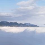 憨傻人头像