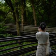 伤心小年糕的个人资料头像