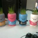 AirFish的个人资料头像