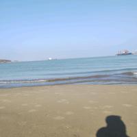 高贵百香果C8J头像