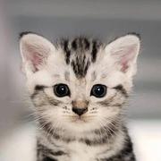 阿豪228的个人资料头像