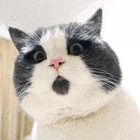 小幸运嘿嘿哈哈头像