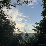 Taino八月的个人资料头像