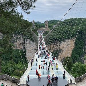 张家界旅游接待向波头像