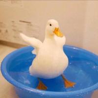 养生财经理头像