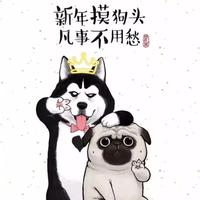 唯一不同666392头像