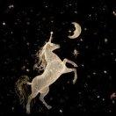 0爱学习98675的个人资料头像