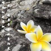 CCYY的个人资料头像