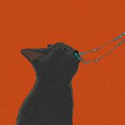 王西知的个人资料头像