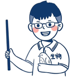 有趣的沙滩Kh头像