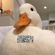 凡同学的个人资料头像