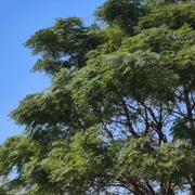 秄枠的个人资料头像