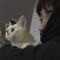 用户3815870960928头像