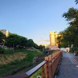 大白558887头像