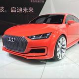 Audi488头像