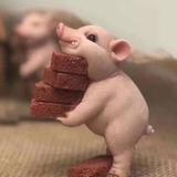 ご壊吖头ㄣ505头像