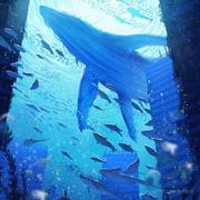 名字不好想的个人资料头像