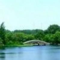 潇洒水滴oR头像