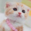 十三画生就是我的个人资料头像