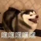 用户7739336269191头像