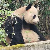 是胖仔呀丶头像