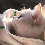 哎呦喂呀965的个人资料头像