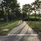 SilenceSir的个人资料头像