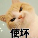 摸鱼累了的个人资料头像