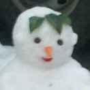 高思学的个人资料头像