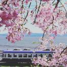 Summer君的个人资料头像