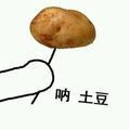 开天籁的小韩头像