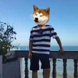 你不是我的蔡i头像