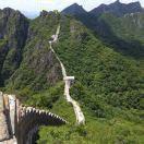 通本尊的个人资料头像