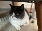 察觉之时已是鸽骑的个人资料头像