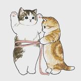 纾覃头像
