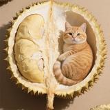 榴香记猫山王榴莲头像