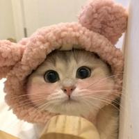 多媒娱乐汇头像