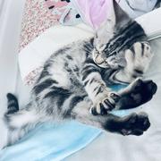 芙芙宝贝的个人资料头像