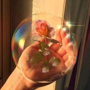 epiphany的个人资料头像