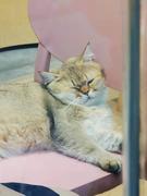 红红火火_的个人资料头像