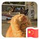 狡猾的风水先生 · ID.4 CROZZ车主·车龄3年头像