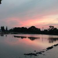 无形的伤害310头像