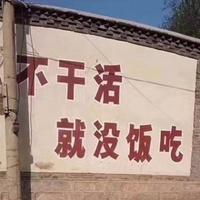 河北邯郸佳境380头像