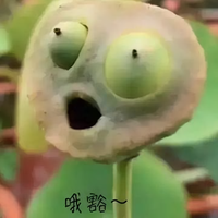 于淑芬的老公头像