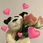 学习新思想545的个人资料头像