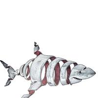 用户8431037713878头像